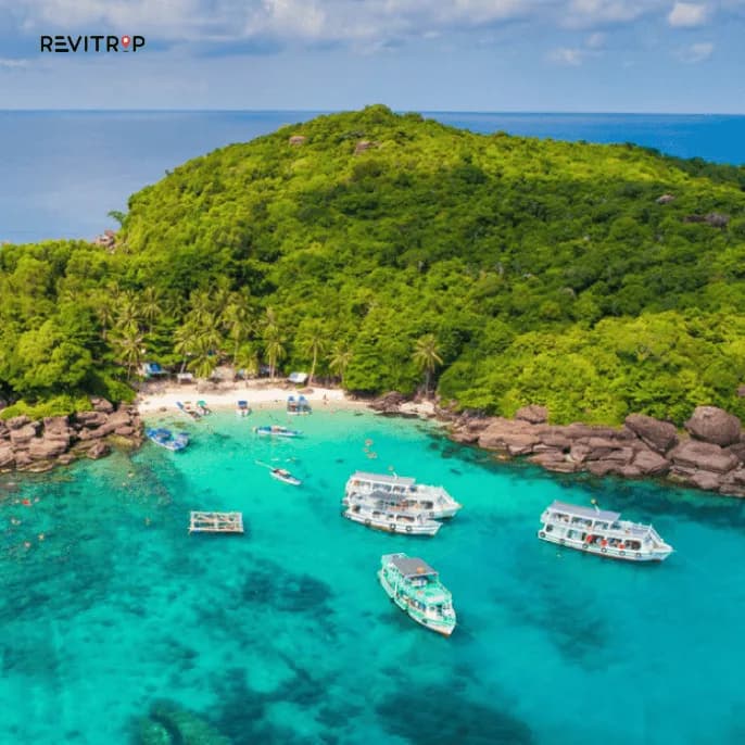 如何前往富国岛：2026年完整交通指南