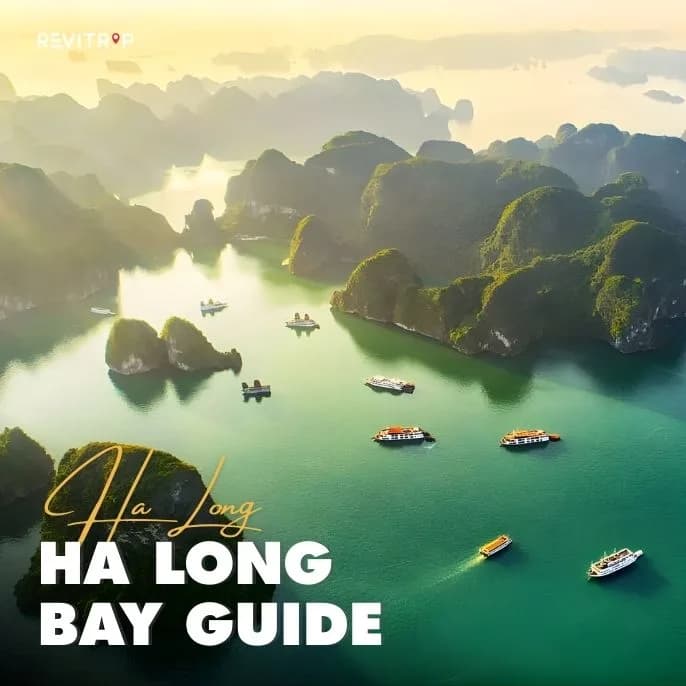 下龙湾：完整旅行指南 (2026)