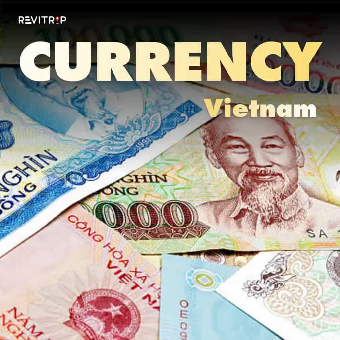 Vietnam Currency Guide: Everything Tourists Need to Know