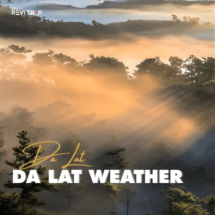 大叻天气:在越南“永恒之春城”可以期待什么