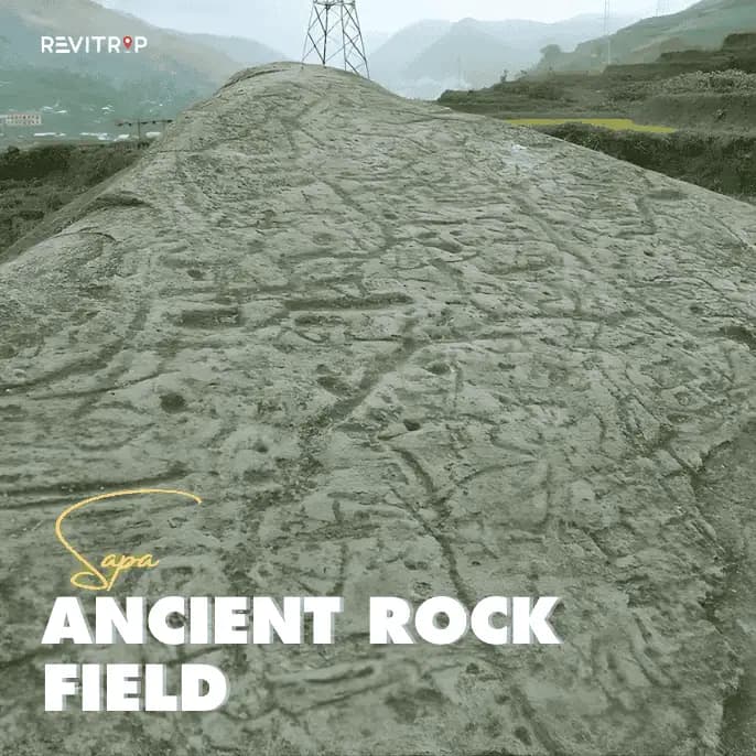 Sa Pa Ancient Rock Field: A Heritage Site Hidden in Muong Hoa Valley