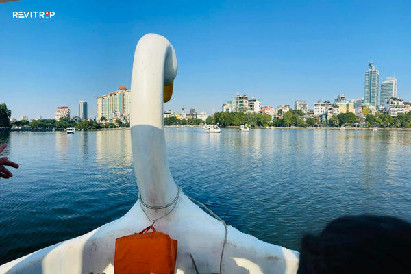 Whether during the day or at night, the experience of pedaling a swan boat on the lake offers a truly special feeling.