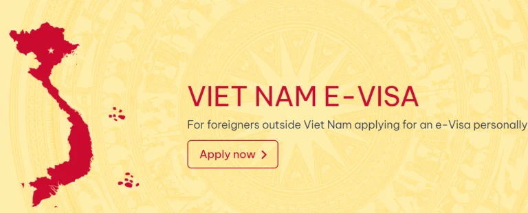 Traveler completing Vietnam eVisa application on laptop before trip