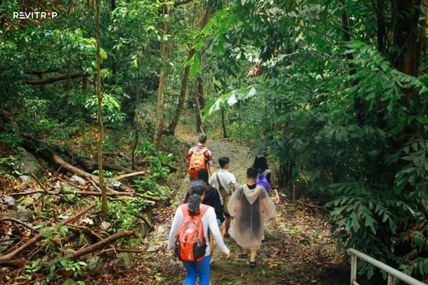 Trekking inside Con Dao National Park
