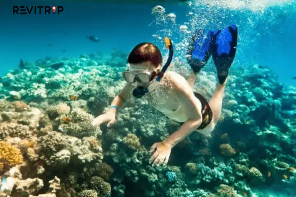 Snorkeling in Nha Trang 
