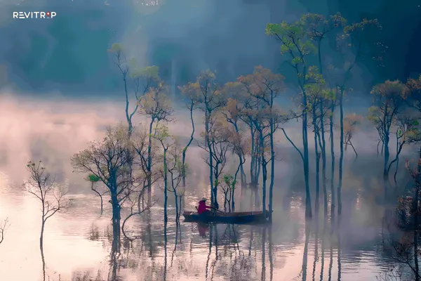 A small boat drifting through Suoi Tia’s flooded forest