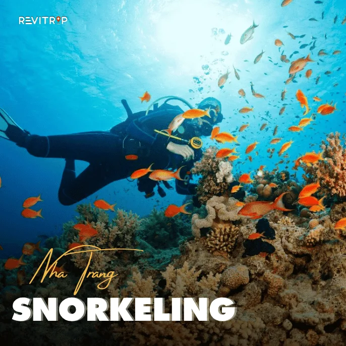 Best Snorkeling in Nha Trang for Beginners