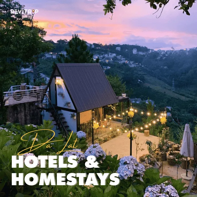 Best homestays in Da Lat