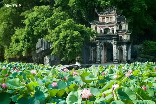 Bich Dong Pagoda during Lotus Season