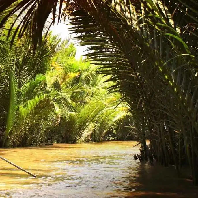Ca Mau - one of the Mekong Delta's most rewarding destinations: Mangrove forests, a floating market, rare wildlife, Vietnam southern tip.