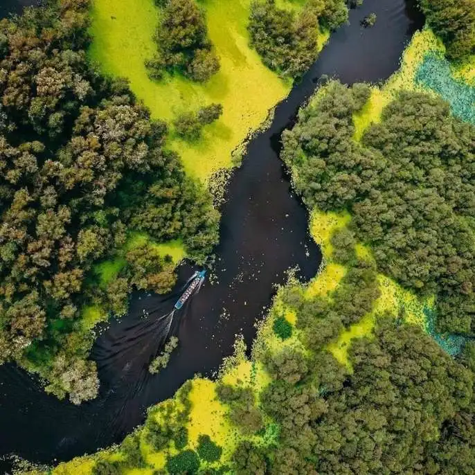 Ca Mau - one of the Mekong Delta's most rewarding destinations: Mangrove forests, a floating market, rare wildlife, Vietnam southern tip.