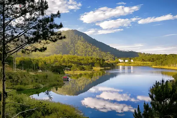 Calm water and pine trees at Tuyen Lam Lake near Da Lat City