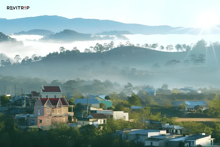Misty morning in Da Lat 