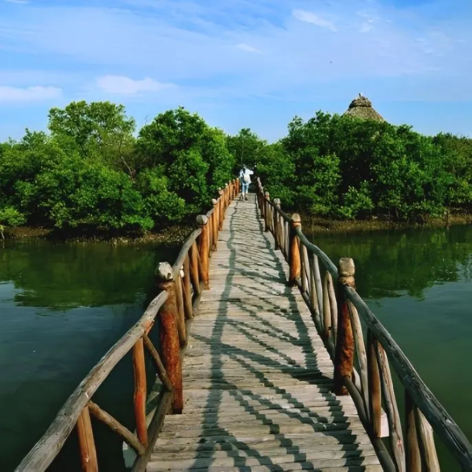 Con Dao - the island archipelago that travelers never forget.