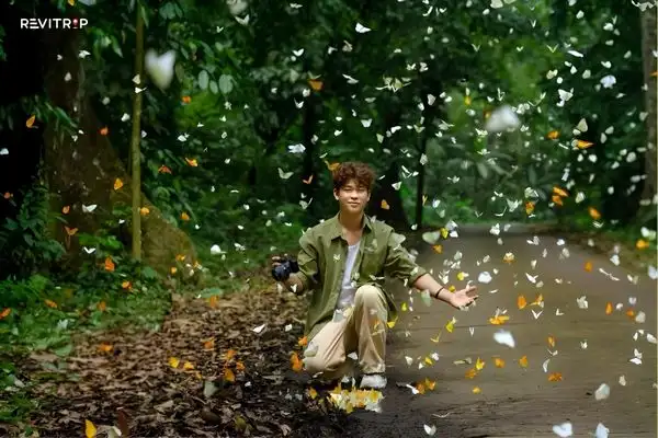 Cuc Phuong National Park