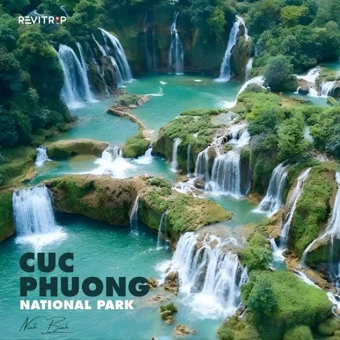 Cuc Phuong National Park
