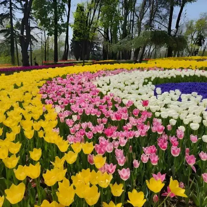 Cool mountain air, French colonial charm, and pine-covered hills await in Da Lat. Discover the City of Eternal Spring with our travel guide.