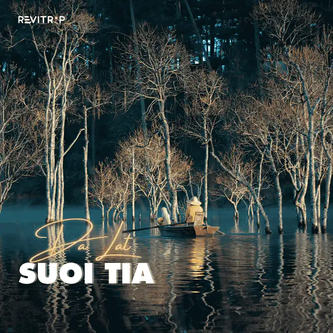 Da Lat City Suoi Tia - the Misty Stillness of Da Lat