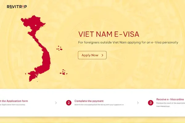 E-Visa and Alternative Options