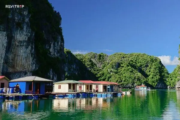 Vung Vieng: The Quieter Alternative in Bai Tu Long Bay