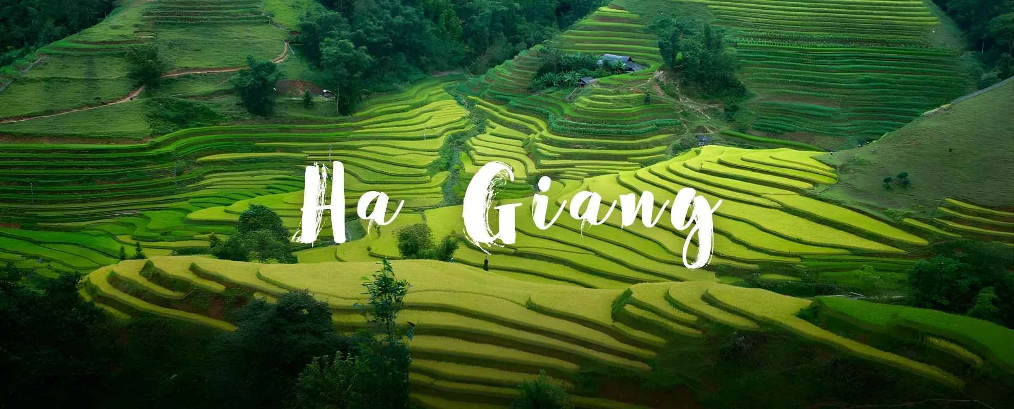 Ride the legendary Ha Giang Loop, discover UNESCO karst plateaus, and Vietnam's most remote ethnic minority villages in the far north.