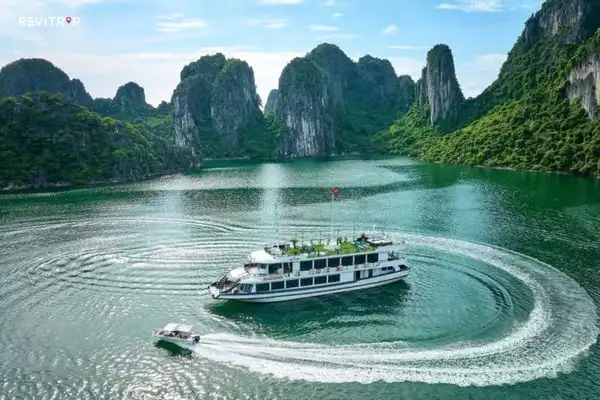 Where Budget Cruises Save and Where They Cut