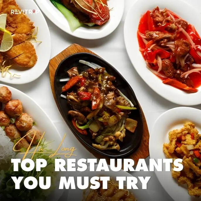Top 5 Restaurants in Ha Long Bay