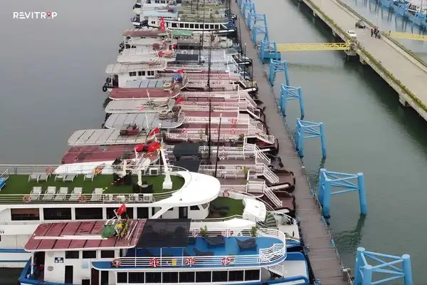 Ongoing Safety Standards