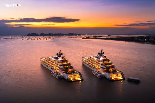 Choose a Mid-Range or Above Cruise Operator