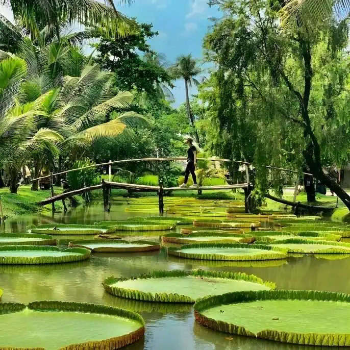 Vietnam's most electrifying city awaits in Ho Chi Minh. Explore war history, world-class street food, and a skyline that never sleeps.