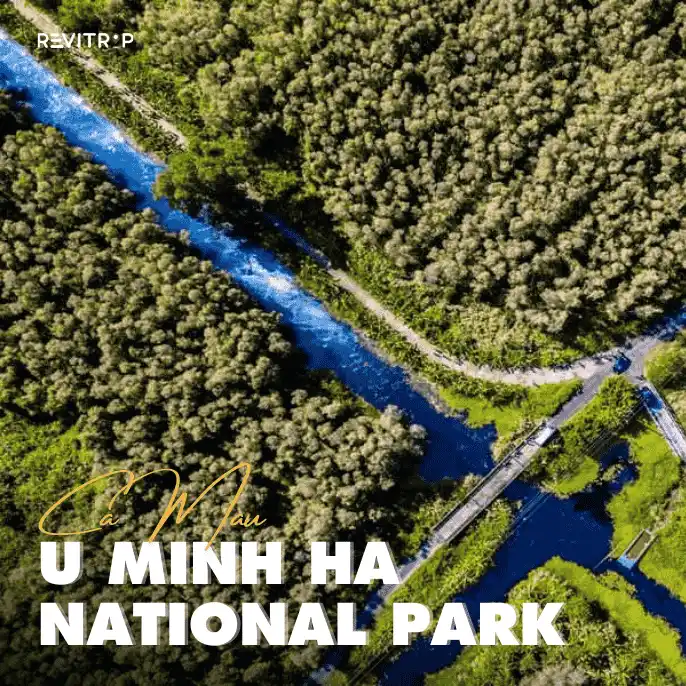 u minh ha national park melaleuca forest and peat wetland ecosystem ca mau