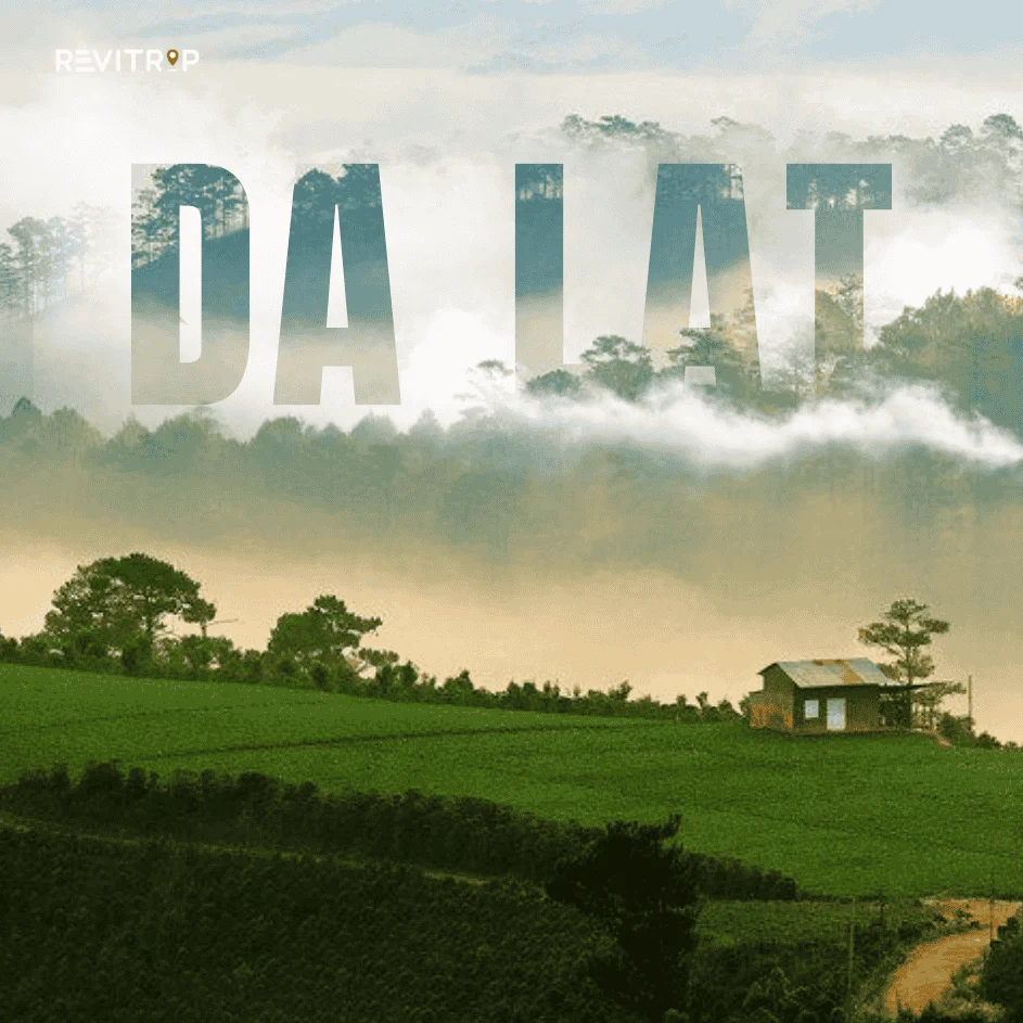 Best Places to Visit in Vietnam: Da Lat City, the Misty Highland Escape