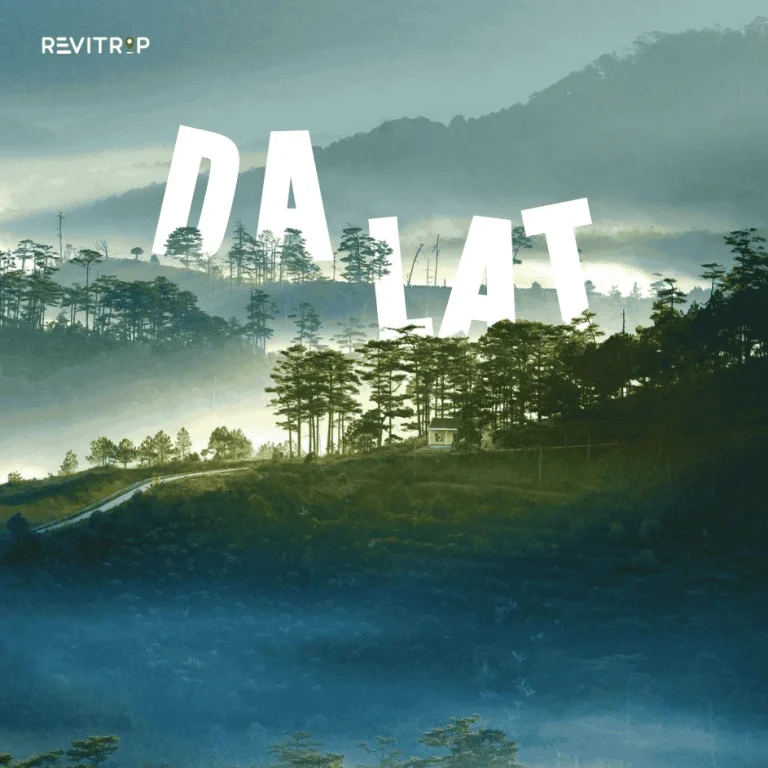 Best Places to Visit in Vietnam: Da Lat City, the Misty Highland Escape