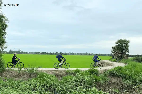 Cycling tour through Mekong Delta countryside on flat road