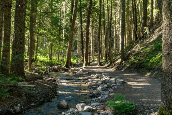 Phu Quoc National Park