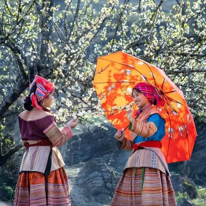  Sapa Ethnic Minority