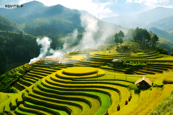 Sapa weather in summer with lush green rice paddies and low clouds 