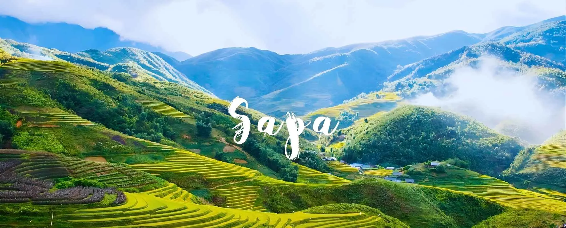 Trek golden rice terraces, meet hill tribe communities, and summit Indochina's highest peak. Your travel guide to Sapa, northern Vietnam.
