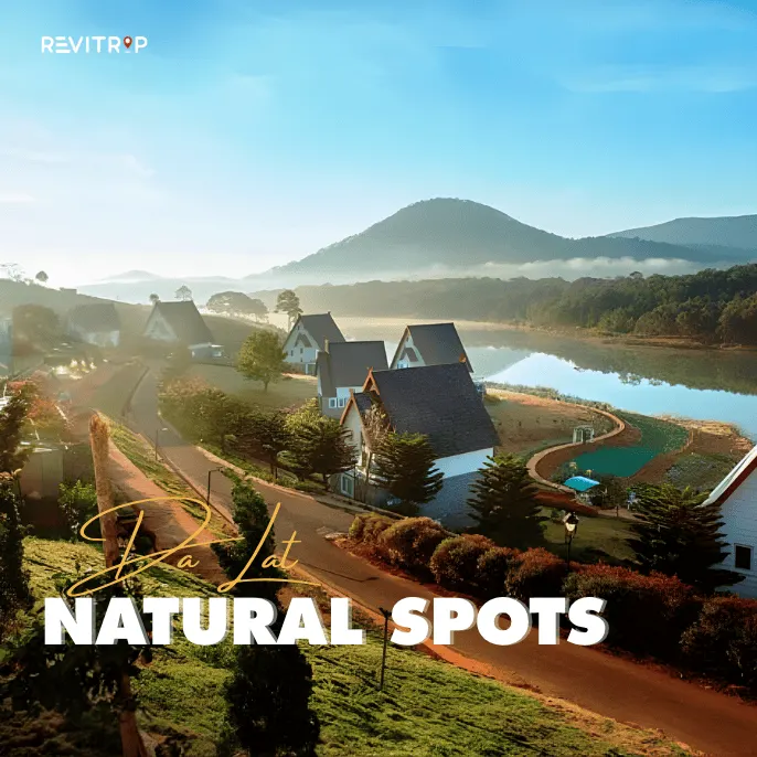 Da Lat City: 5 Natural Escapes of Pine, Water, and Mist