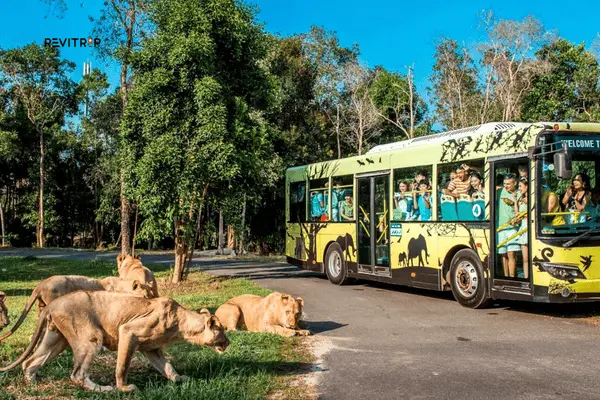 Vinpearl Safari Adventure