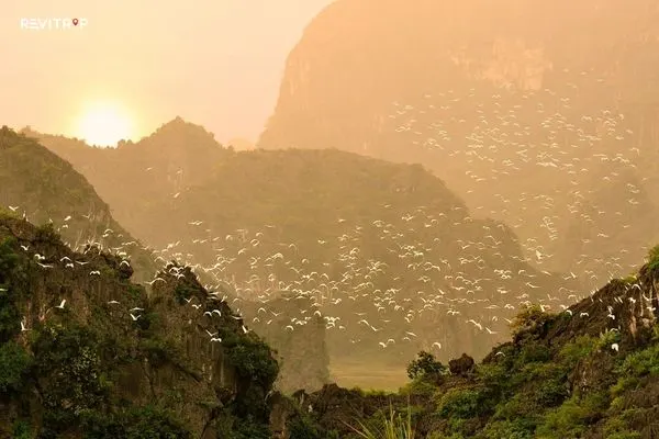 ThungNham Bird Park at sunset