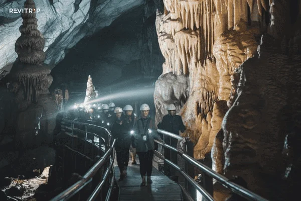 Phong Nha Ke Bang National Park: The Natural Wonder of Quảng Bình