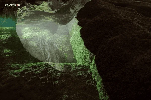 Best Caves in Quảng Bình: Phong Nha, Paradise Cave, and Son Doong