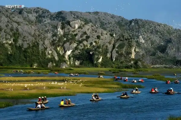 Van Long Nature Reserve Boat Tour Experience