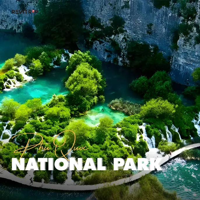 Phu Quoc National Park primary forest landscapes