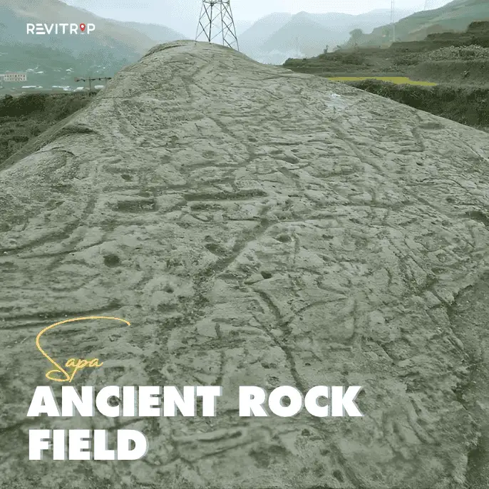 Sa Pa Ancient Rock Field A Heritage Site Hidden in Muong Hoa Valley